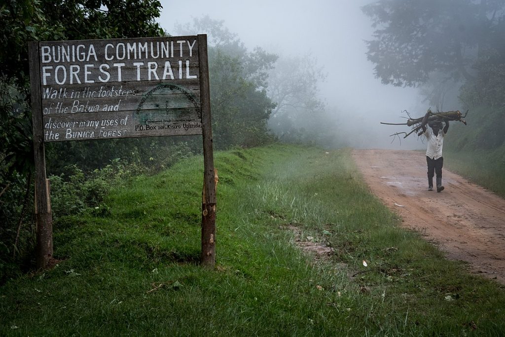 Buniga Forest Trails Uganda