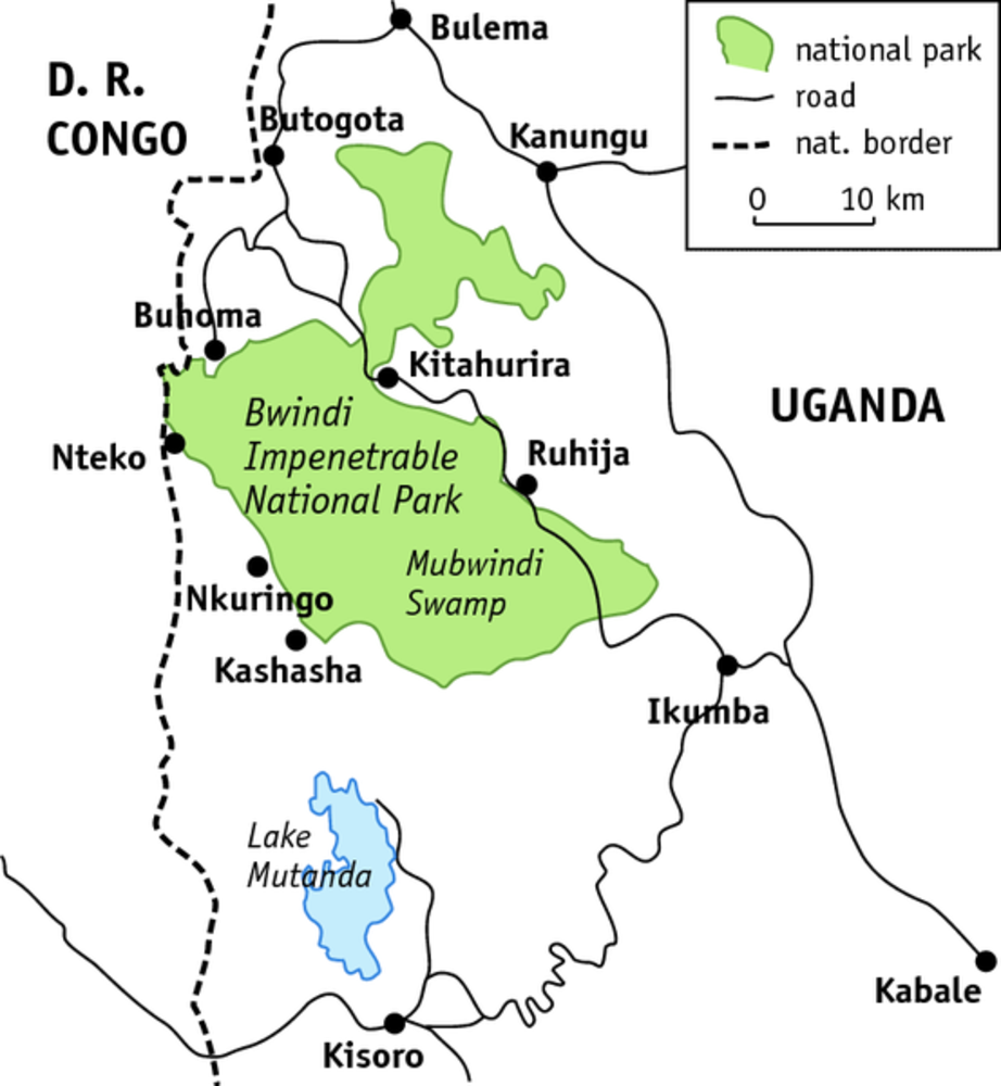 Where is Bwindi forest