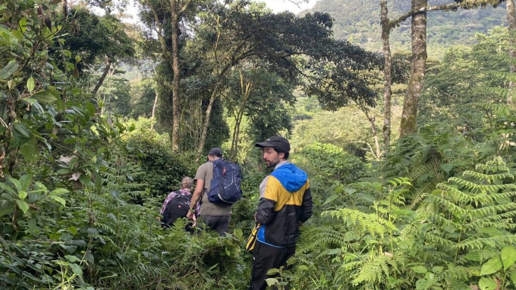 Bwindi hiking trails