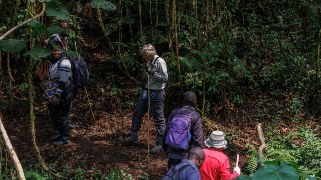 Bwindi hiking trails