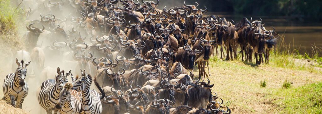 Best Time to Visit Kenya