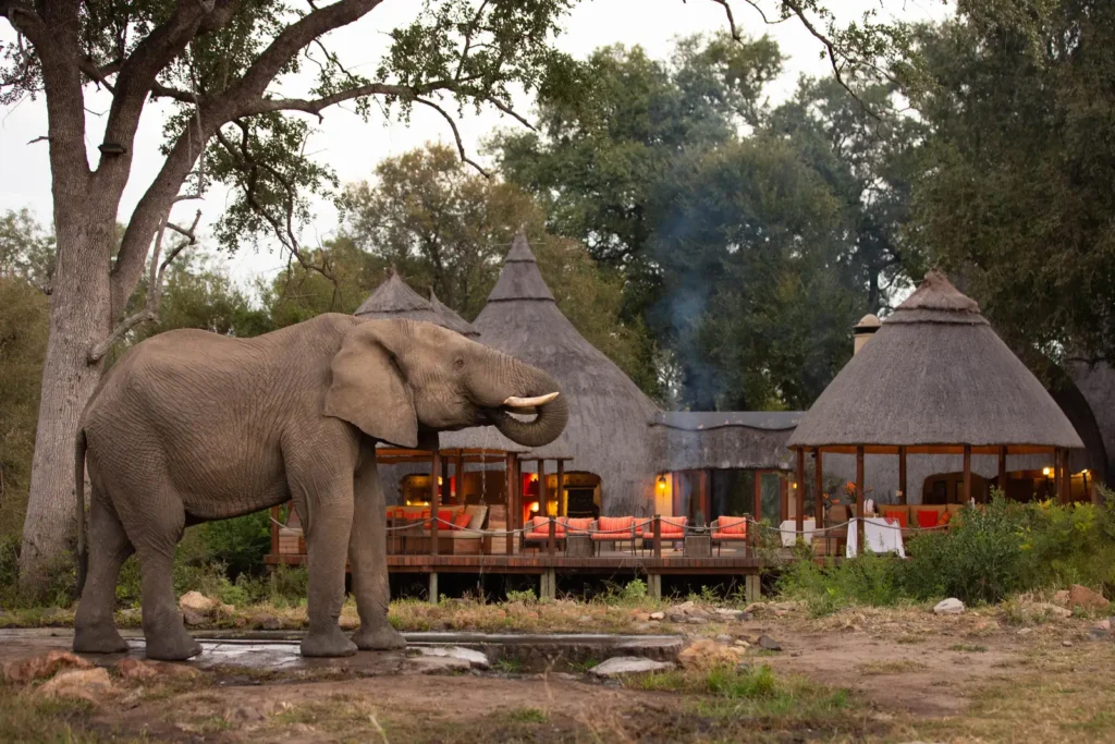 last-minute safaris Africa