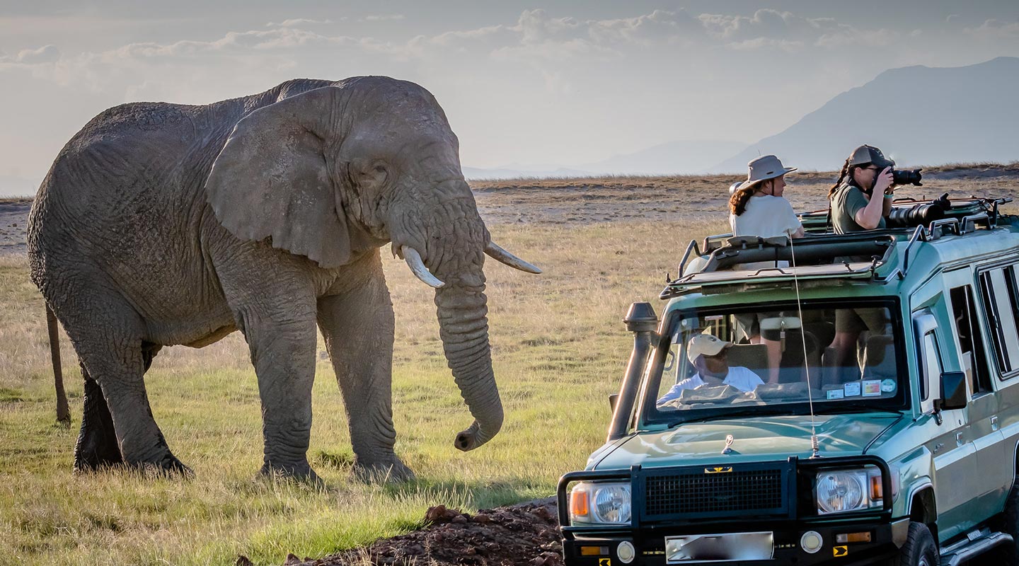 Uganda Safari Forum