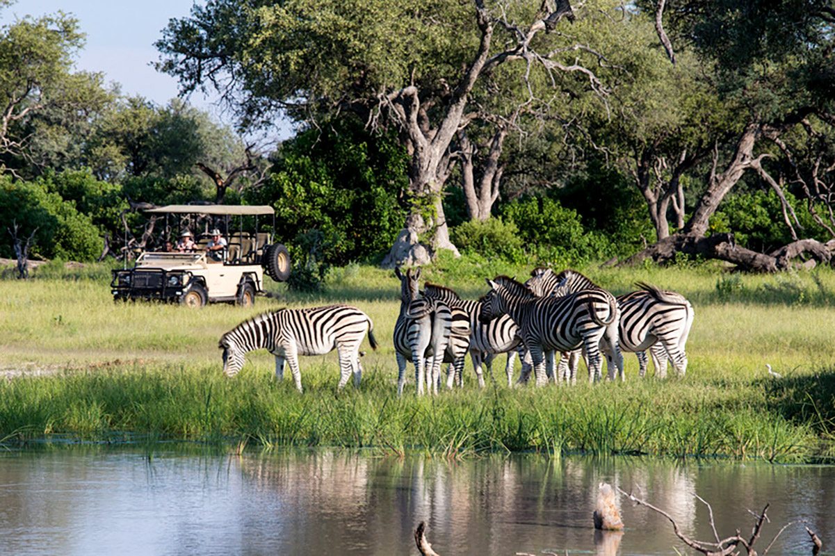 Top Tips for Planning an Okavango Delta Safari in Botswana