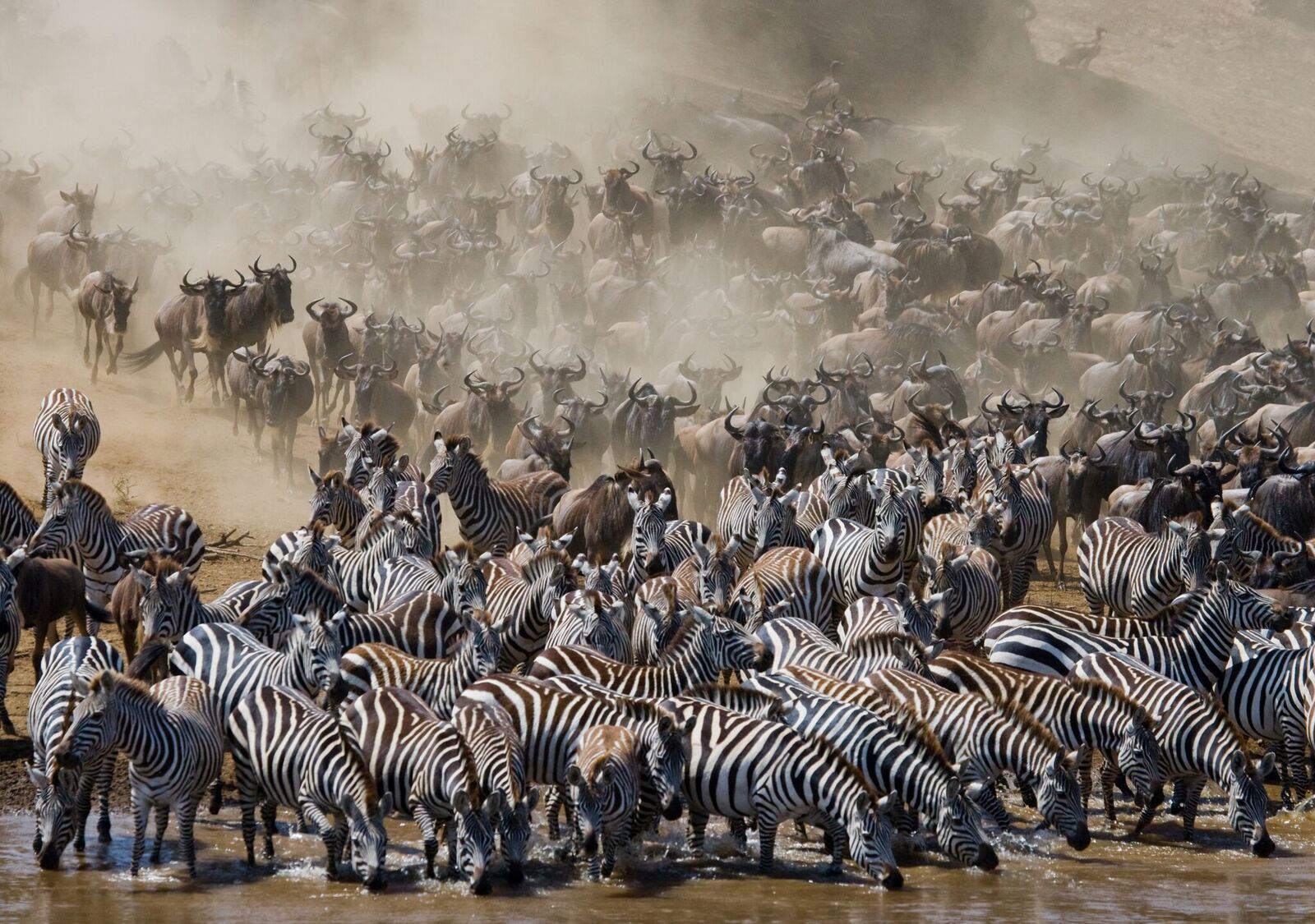 Top 8 Africa Overland Routes & Tours: Best Safari Road Trips Across Africa
