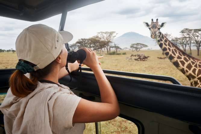 Affordable African summer vacations-summer in Africa