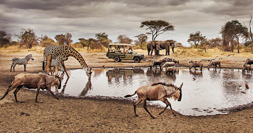 Classic Safari: Kenya & Tanzania