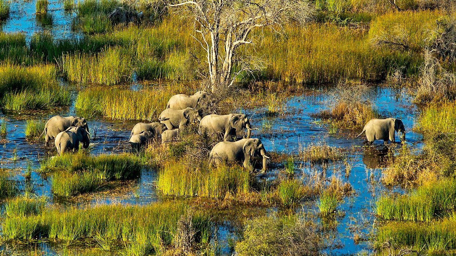 Top African Wetlands, Lakes & Estuaries to Visit for Wildlife and Birding