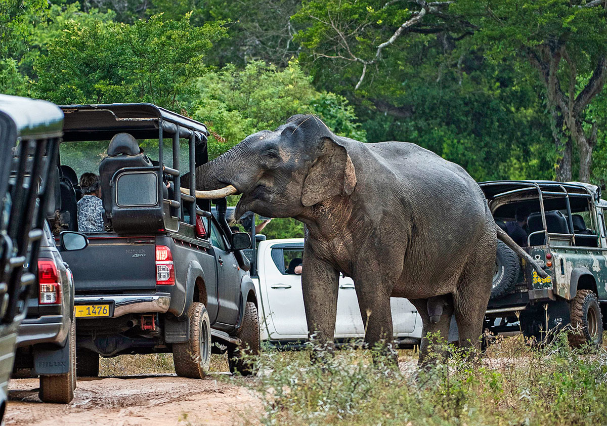 8 Things to Avoid in Africa & What to Do Instead