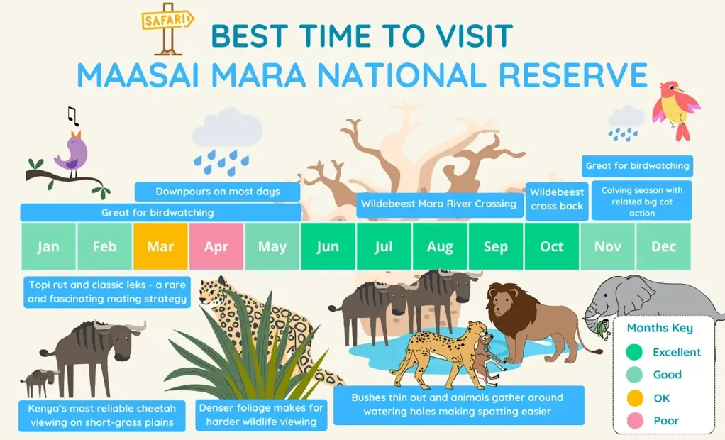 Best Time for Big Five Safari in Maasai Mara