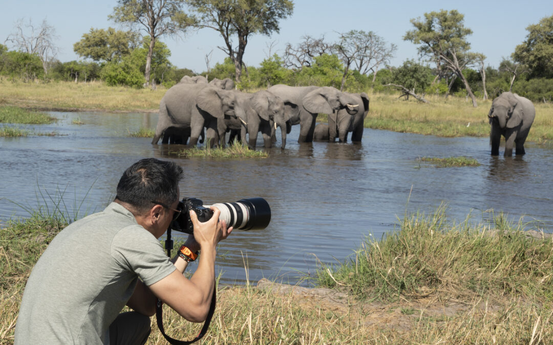 Wildlife Photography Tips for Big Five Safaris.