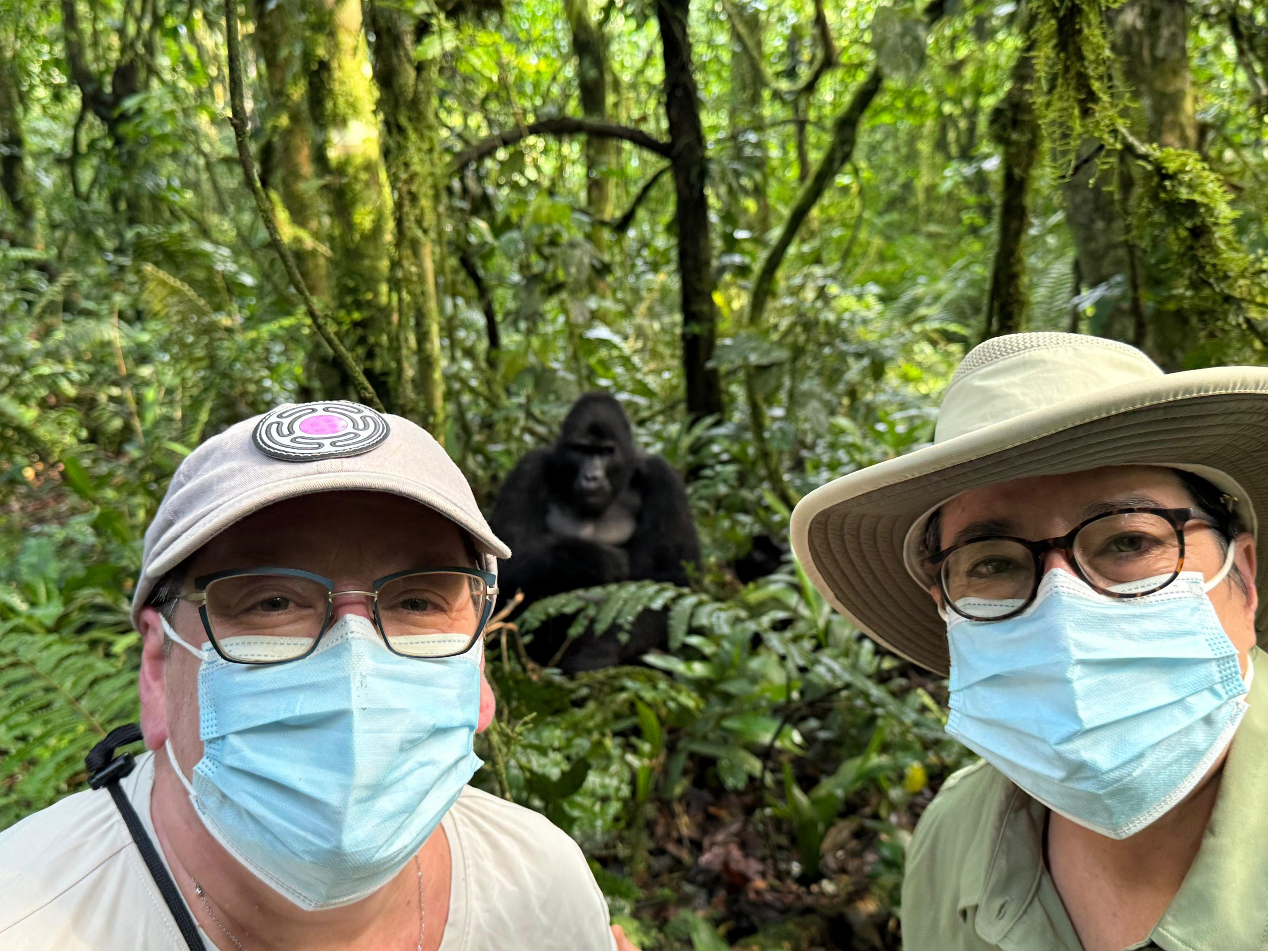 What Happens If You Don’t See Gorillas on Your Trek?