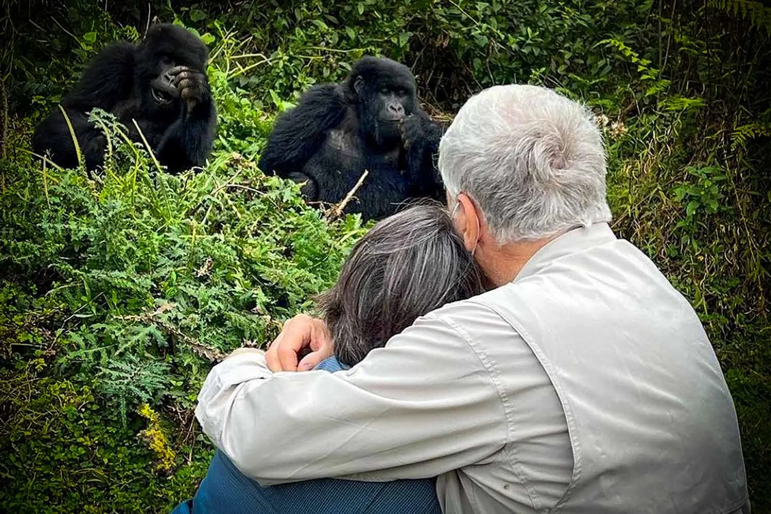 Gorilla Trekking Uganda Honeymoon Guide: A Unique Romantic Safari