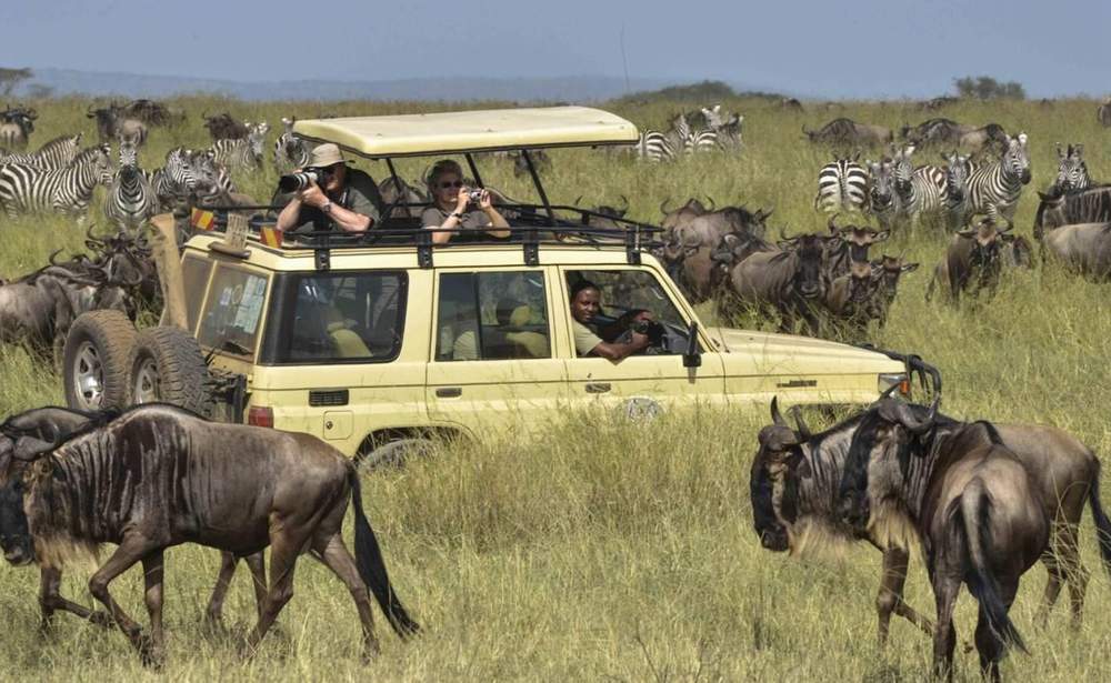 Kilimanjaro Serengeti Safari Combo