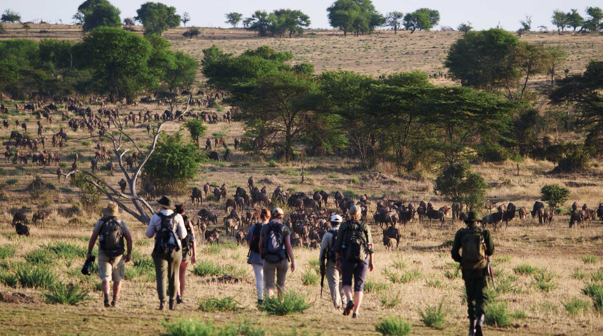 Africa's Best Walking Safaris
