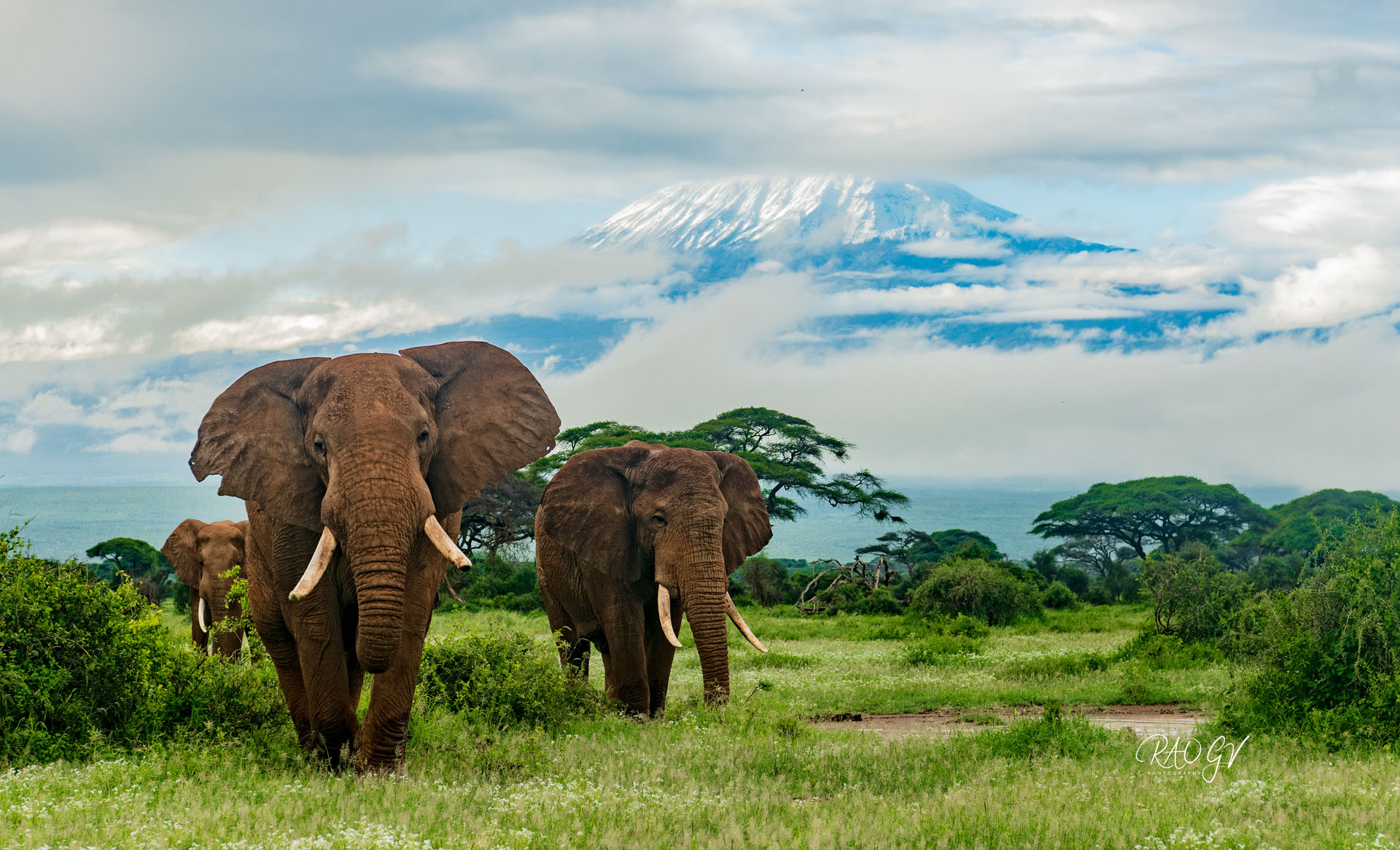 best time visit Africa safari