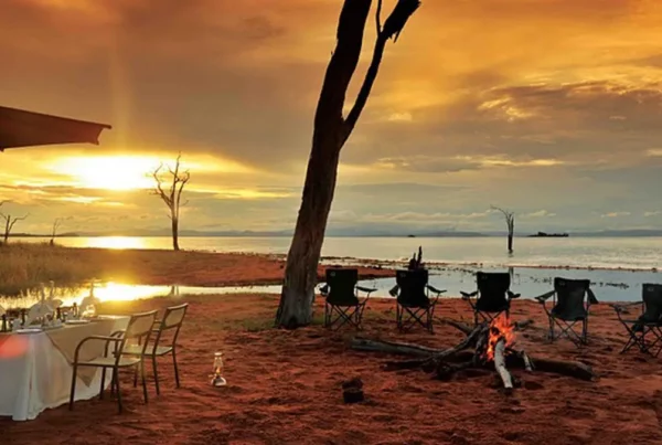 East Africa Rainy Season Safari