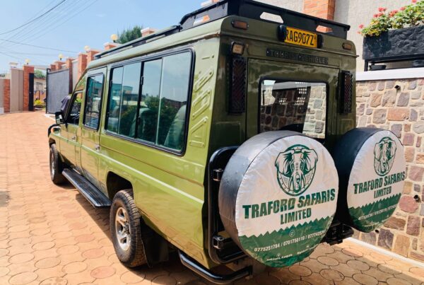 Are East Africa Safari Prices Rising in 2026? What Travelers Should Know