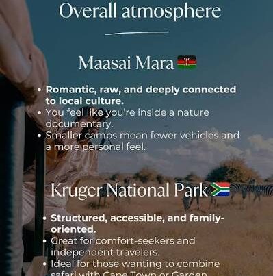 Kruger Park vs Maasai Mara