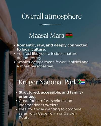Kruger Park vs Maasai Mara