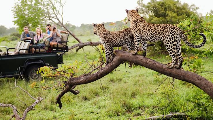 Victoria Falls and East Africa Safari