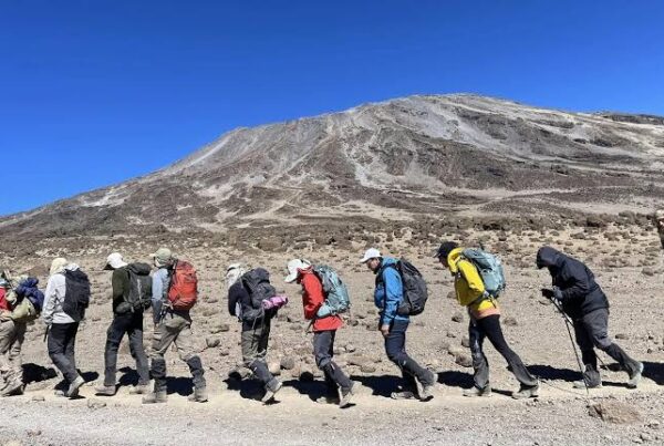 What Percentage of Climbers Summit Kilimanjaro?