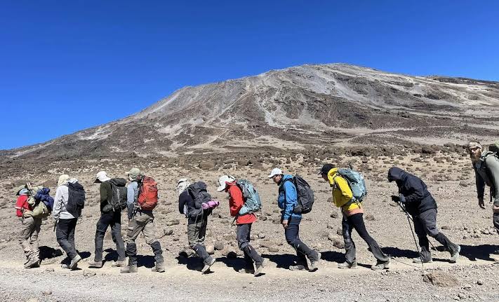 What Percentage of Climbers Summit Kilimanjaro?