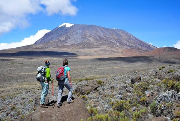 Kilimanjaro for Beginners