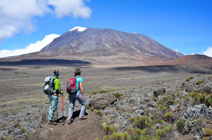 Kilimanjaro for Beginners