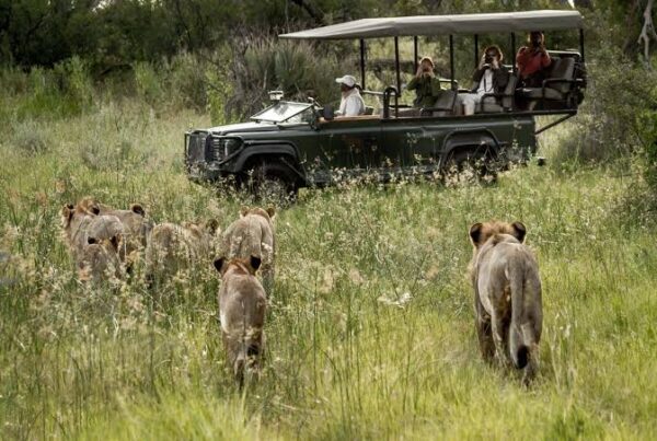 Africa Photography Safari Ranked