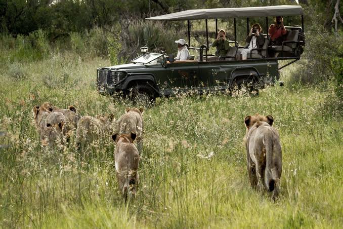 Africa Photography Safari Ranked