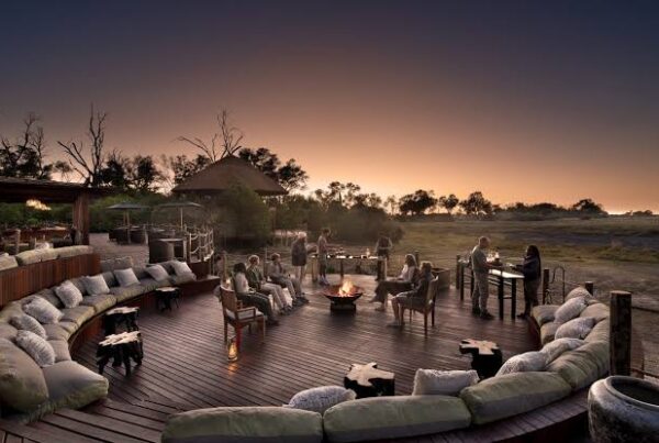 Africa Luxury Safari Under $500 a Night