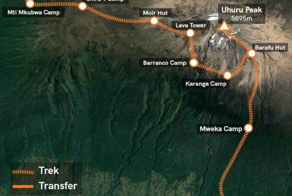 Lemosho Route Kilimanjaro