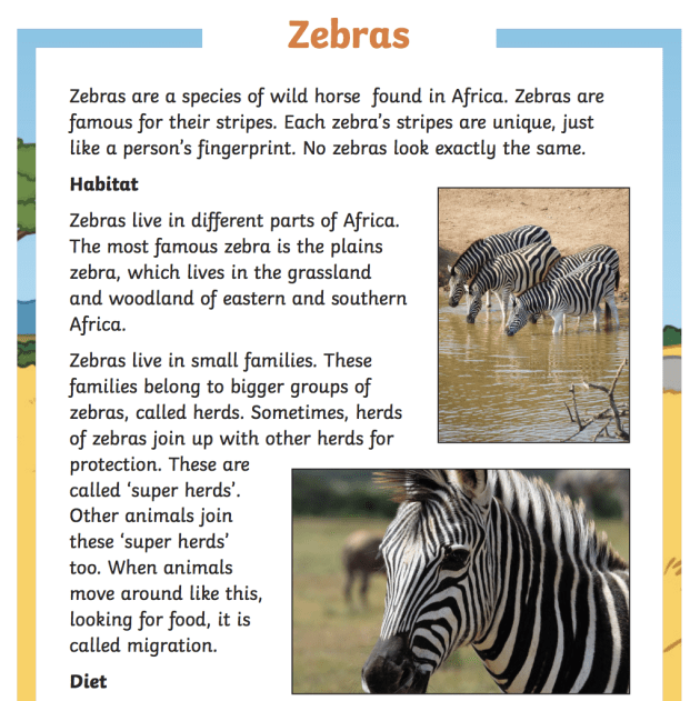 Zebra Facts