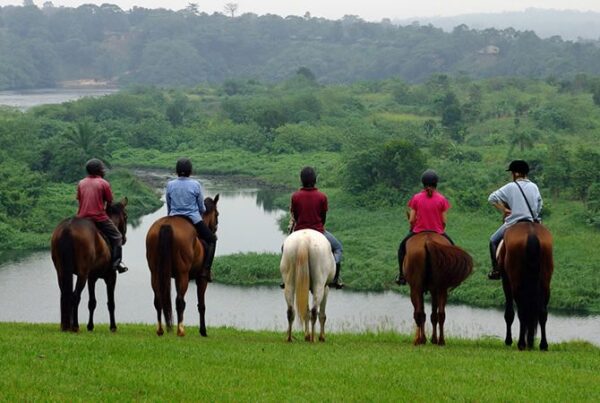Uganda Horse Riding