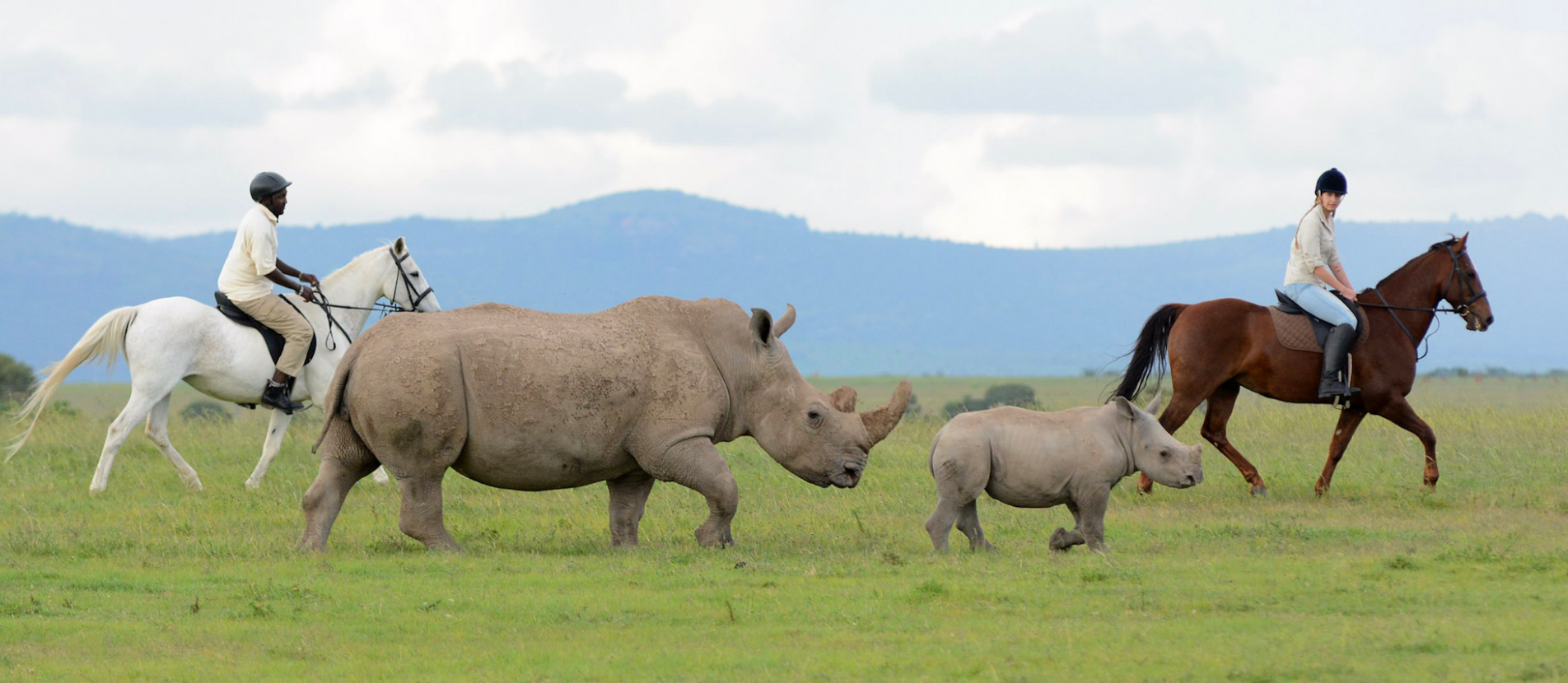 Ol Pejeta Conservancy