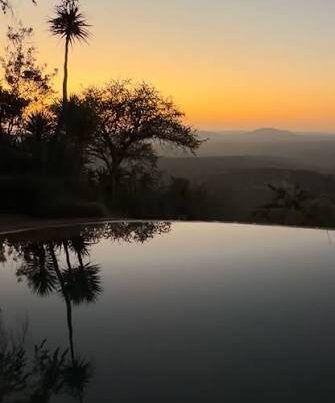 Kenya Dawn Chorus