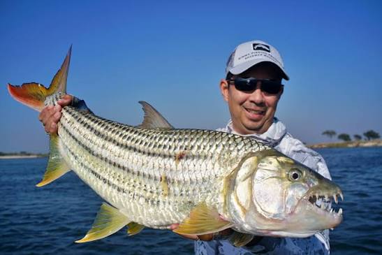 Tiger Fish Fishing Africa