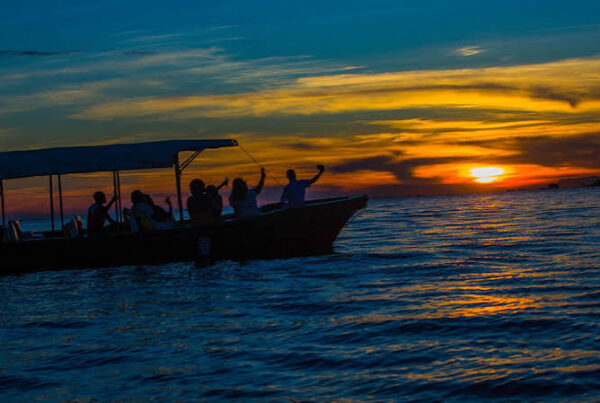 Sunset Boat Cruise Africa