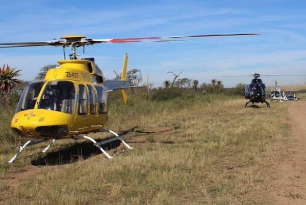 Helicopter Game Drive Africa