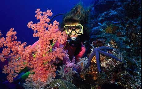 Cave Dive Pemba Island