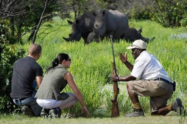 Rhino Tracking on Foot Africa