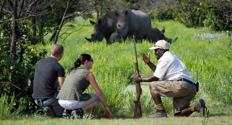 Rhino Tracking on Foot Africa