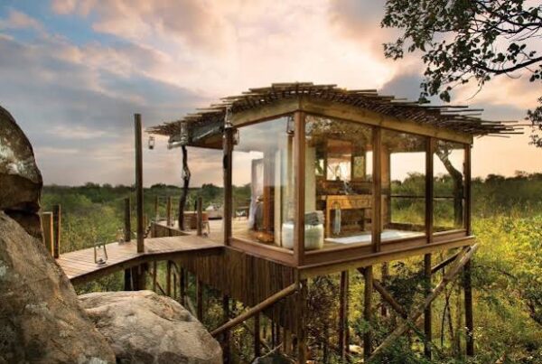 Treehouse Overnight Africa