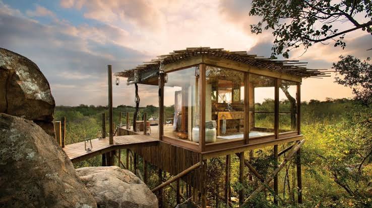 Treehouse Overnight Africa