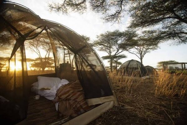 Fly Camping Africa