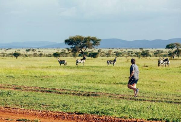 Running Safari Africa