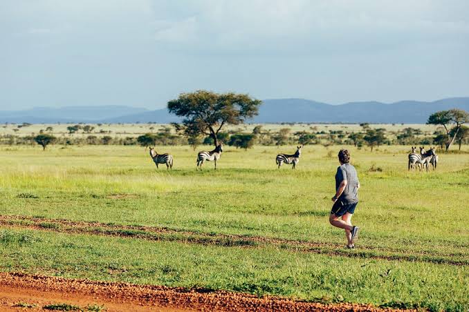 Running Safari Africa
