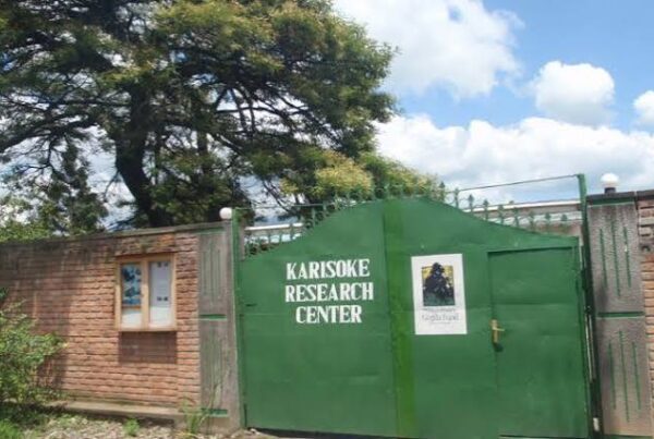 Research Station Tour Africa