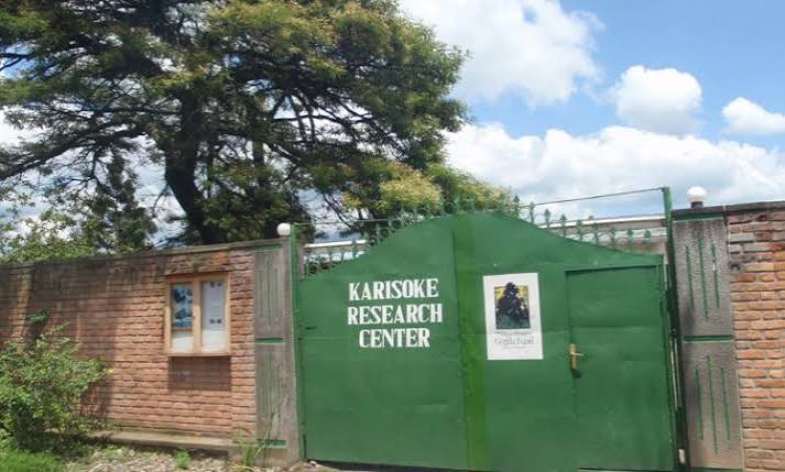Research Station Tour Africa